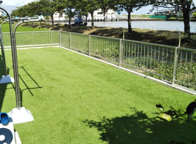 人工芝の7つのデメリットを徹底解説 延べ床39坪のシンプルハウス